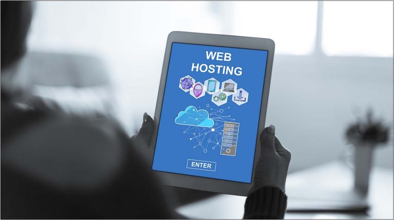 Professional Web Hosting